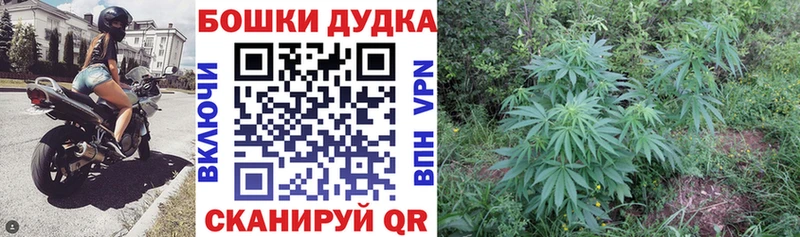 Купить наркотик аптеки Ивдель Марихуана  МЕФ  APVP  Гашиш 