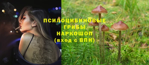 СК Балабаново
