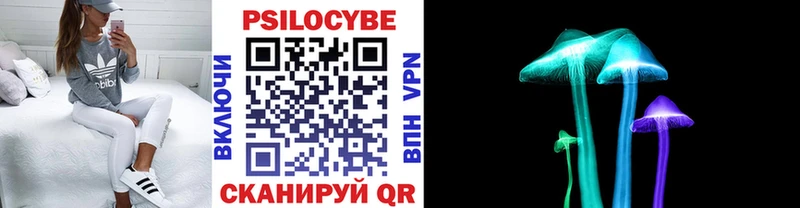 купить  сайты  MEGA ссылки  Псилоцибиновые грибы MAGIC MUSHROOMS  Ивдель 